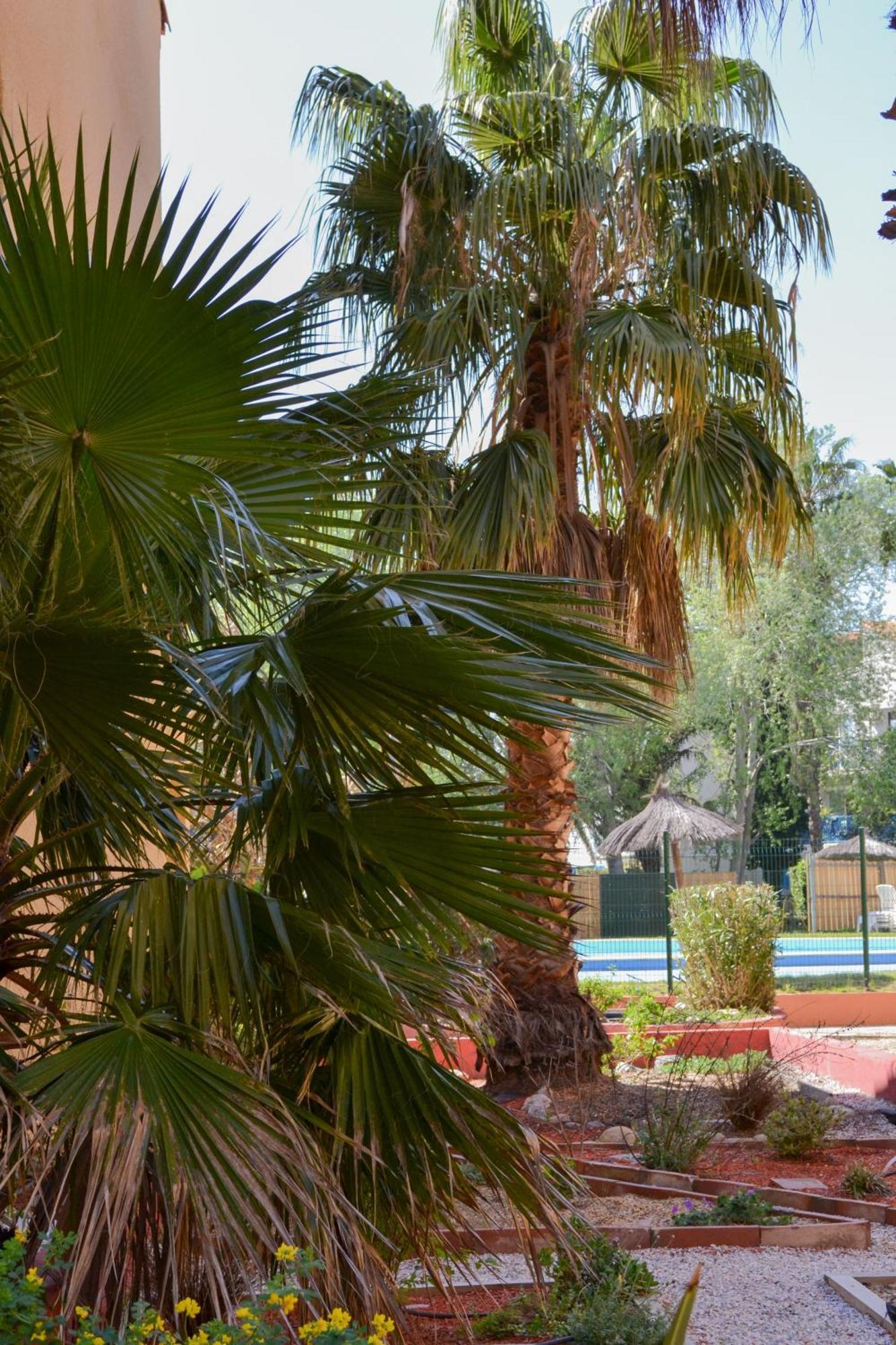 Malibu Village Canet-en-Roussillon Kültér fotó